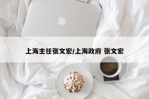 上海主任张文宏/上海政府 张文宏