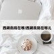 西藏南路在哪/西藏南路在哪儿