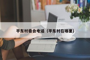 平东村委会电话（平东村在哪里）