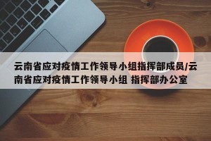 云南省应对疫情工作领导小组指挥部成员/云南省应对疫情工作领导小组 指挥部办公室