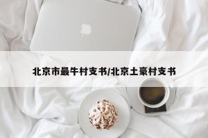 北京市最牛村支书/北京土豪村支书