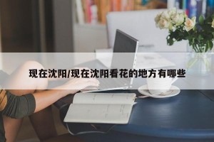现在沈阳/现在沈阳看花的地方有哪些